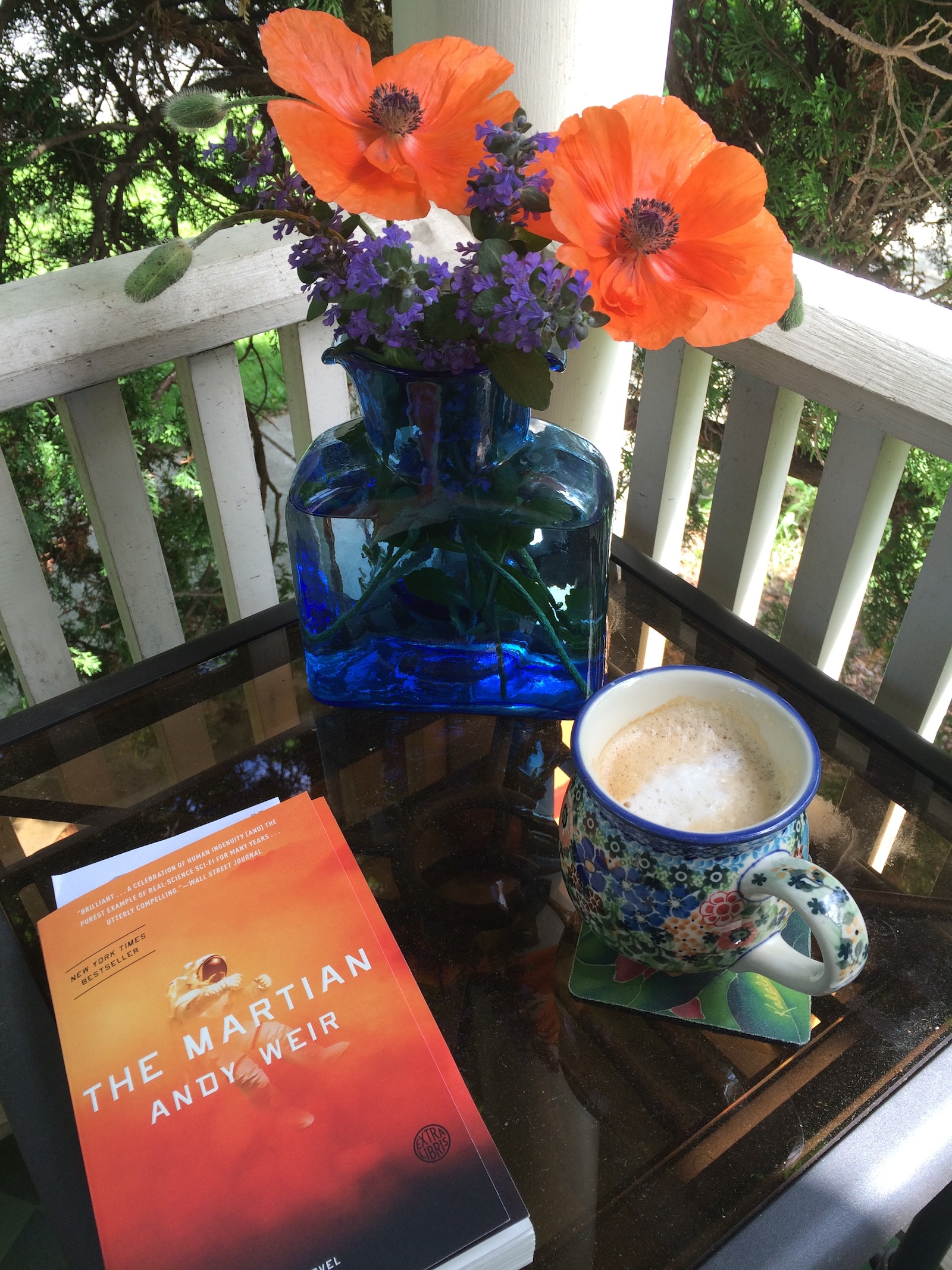 Image with information on how to schedule an astrology reading with Donna